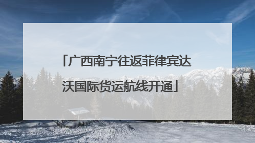 广西南宁往返菲律宾达沃国际货运航线开通