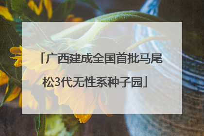 广西建成全国首批马尾松3代无性系种子园