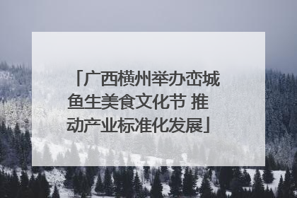 广西横州举办峦城鱼生美食文化节 推动产业标准化发展