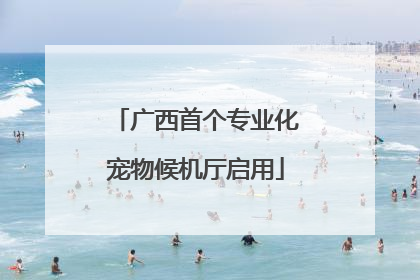 广西首个专业化宠物候机厅启用