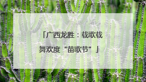 广西龙胜：载歌载舞欢度“苗歌节”