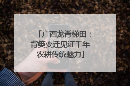 广西龙脊梯田：背篓变迁见证千年农耕传统魅力