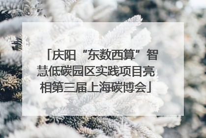 庆阳“东数西算”智慧低碳园区实践项目亮相第三届上海碳博会