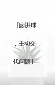 廖进球，主动交代问题