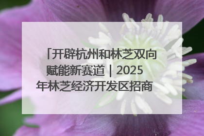 开辟杭州和林芝双向赋能新赛道｜2025年林芝经济开发区招商引资（杭州）推介展销活动在杭举办