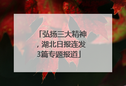 弘扬三大精神，湖北日报连发3篇专题报道
