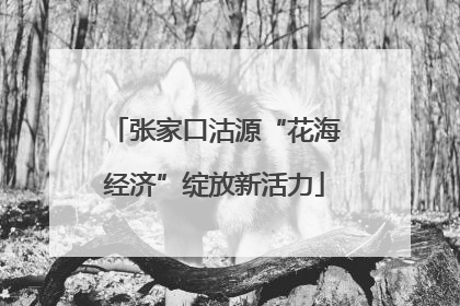 张家口沽源“花海经济”绽放新活力