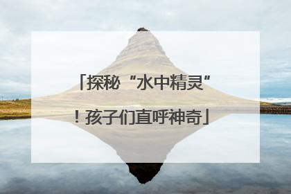 探秘“水中精灵”！孩子们直呼神奇