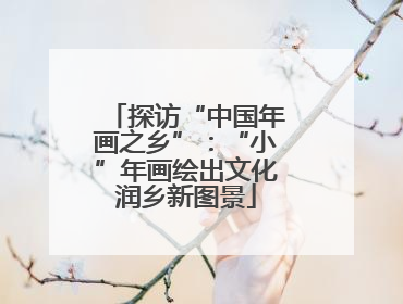 探访“中国年画之乡”：“小”年画绘出文化润乡新图景