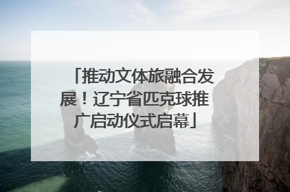 推动文体旅融合发展！辽宁省匹克球推广启动仪式启幕