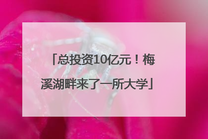 总投资10亿元！梅溪湖畔来了一所大学