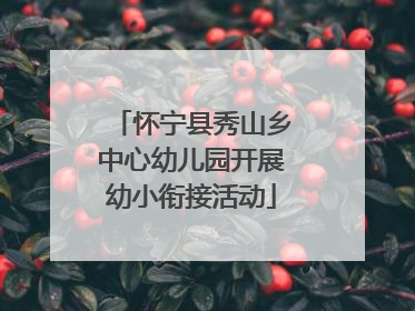 怀宁县秀山乡中心幼儿园开展幼小衔接活动