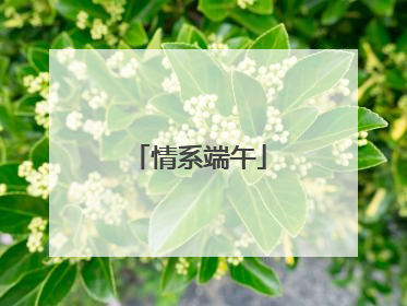 情系端午