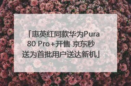 惠英红同款华为Pura 80 Pro+开售 京东秒送为首批用户送达新机