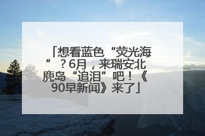 想看蓝色“荧光海”？6月，来瑞安北麂岛“追泪”吧！《90早新闻》来了