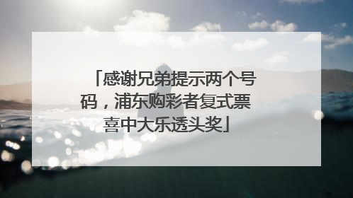 感谢兄弟提示两个号码，浦东购彩者复式票喜中大乐透头奖