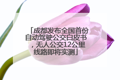 成都发布全国首份自动驾驶公交白皮书，无人公交12公里线路即将实测