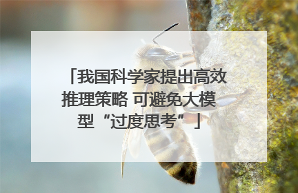 我国科学家提出高效推理策略 可避免大模型“过度思考”