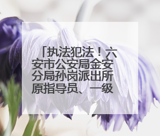 执法犯法！六安市公安局金安分局孙岗派出所原指导员、一级警长刘军被“双开”
