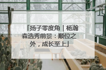 扬子零度角｜杨瀚森选秀前景：顺位之外，成长至上