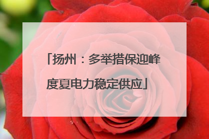 扬州：多举措保迎峰度夏电力稳定供应