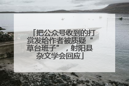 把公众号收到的打赏发给作者被质疑“草台班子”，射阳县杂文学会回应