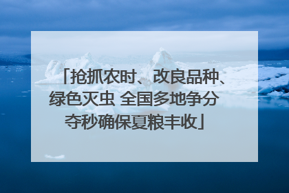 抢抓农时、改良品种、绿色灭虫 全国多地争分夺秒确保夏粮丰收