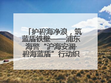 护碧海净浪，筑蓝盾铁壁——浦东海警“沪海安澜·碧海蓝盾”行动织密立体防控网