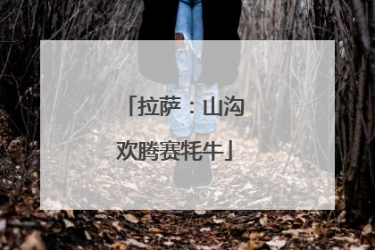 拉萨：山沟欢腾赛牦牛