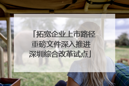 拓宽企业上市路径 重磅文件深入推进深圳综合改革试点