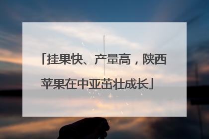 挂果快、产量高，陕西苹果在中亚茁壮成长