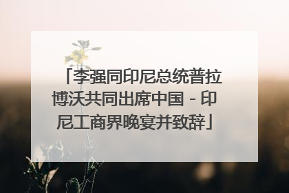 李强同印尼总统普拉博沃共同出席中国－印尼工商界晚宴并致辞