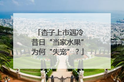 杏子上市遇冷 昔日“当家水果”为何“失宠”？