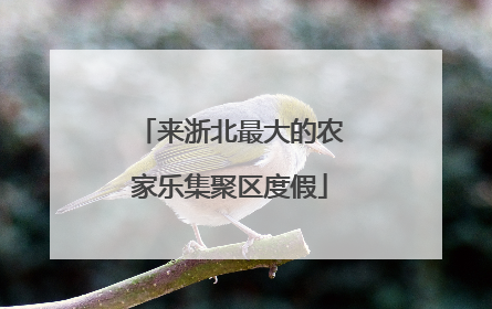 来浙北最大的农家乐集聚区度假