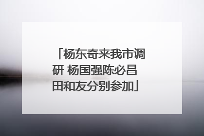 杨东奇来我市调研 杨国强陈必昌田和友分别参加