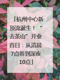 杭州中心新顶流诞生！“去茶山”开业首日：从清晨7点卷到深夜10点