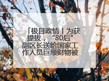 极目政情丨为获提拔，“80后”副区长送给国家工作人员巨额财物被“双开”