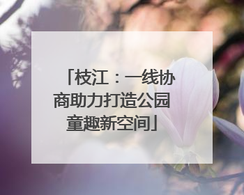 枝江：一线协商助力打造公园童趣新空间