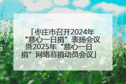 枣庄市召开2024年“慈心一日捐”表扬会议暨2025年“慈心一日捐”网络募捐动员会议