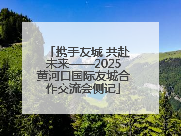携手友城 共赴未来——2025黄河口国际友城合作交流会侧记