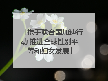 携手联合国加速行动 推进全球性别平等和妇女发展