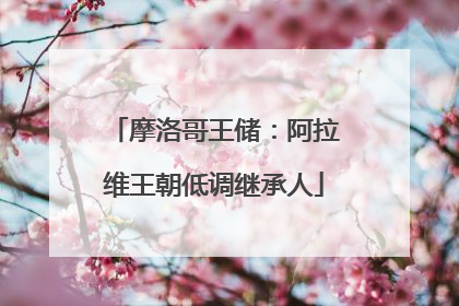 摩洛哥王储：阿拉维王朝低调继承人