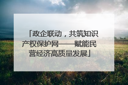 政企联动，共筑知识产权保护网——赋能民营经济高质量发展