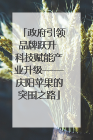 政府引领品牌跃升 科技赋能产业升级——庆阳苹果的突围之路