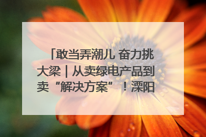 敢当弄潮儿 奋力挑大梁｜从卖绿电产品到卖“解决方案”！溧阳立足产业优势建成五大微电网示范项目