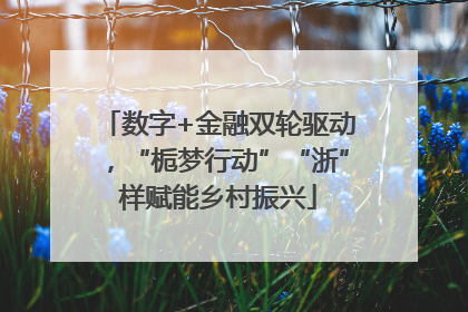 数字+金融双轮驱动，“栀梦行动”“浙”样赋能乡村振兴