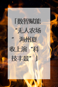 数智赋能“无人农场” 海州夏收上演“科技丰景”