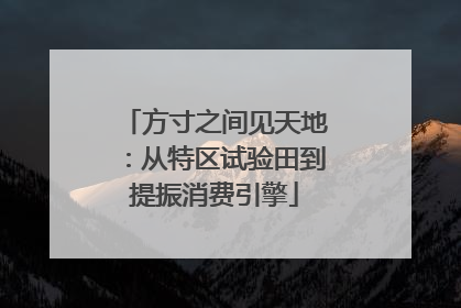 方寸之间见天地：从特区试验田到提振消费引擎