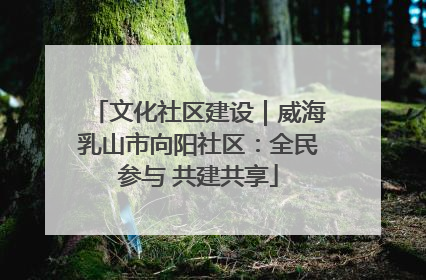 文化社区建设｜威海乳山市向阳社区：全民参与 共建共享