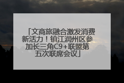 文商旅融合激发消费新活力！镇江润州区参加长三角C9+联盟第五次联席会议